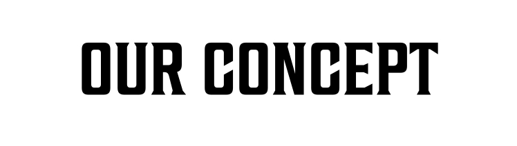 our concept