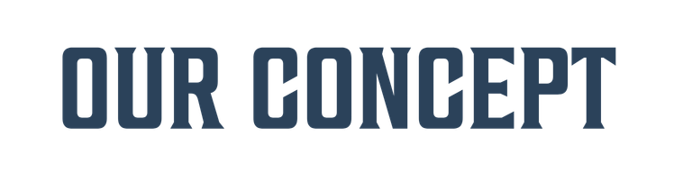 our concept